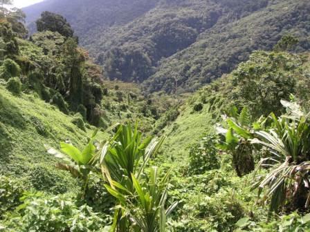 Adventure Trek