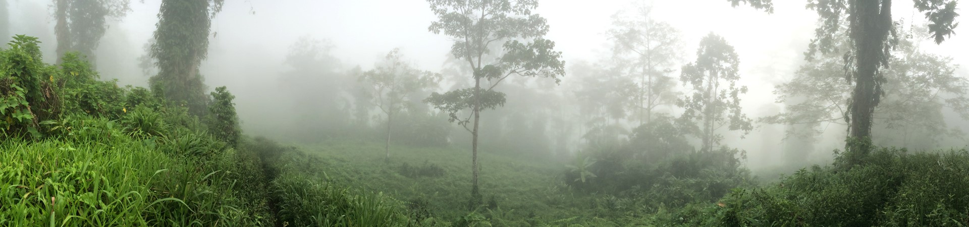 Kokoda Track Adventure