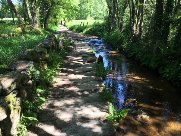 2019 Camino de Santiago (12 Day Trip)
